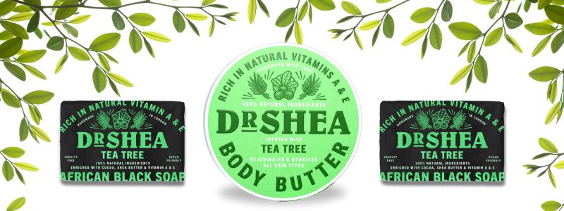 Tea Tree Black Soap And Body Butter - Dr Shea